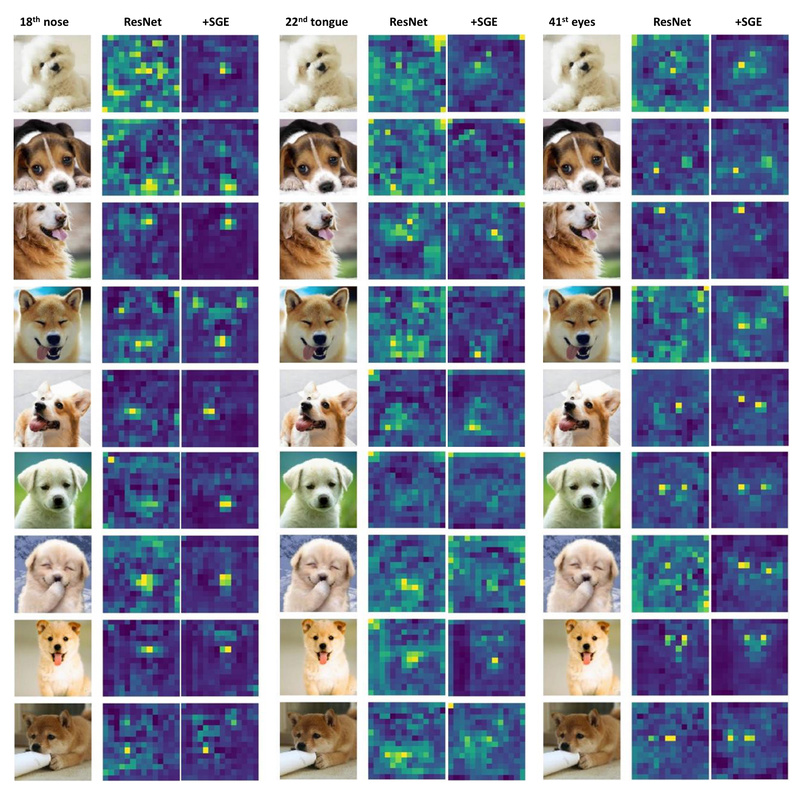 PytorchInsight: Boost CNN Performance with Lightweight, Plug-and-Play Attention Modules for Vision Tasks